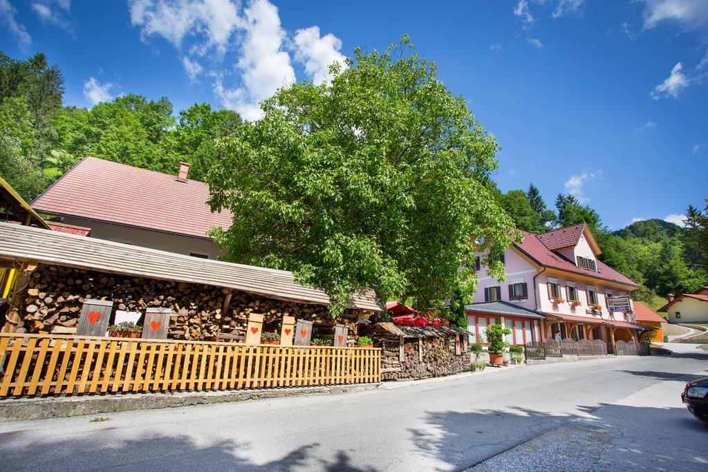 Guest House Gostisce Gacnk V Logu Cerkno Ngoại thất bức ảnh